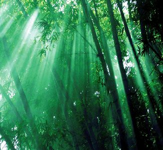 die entspannung - mobile massage - stuttgart